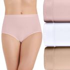 Comfort Where It Counts Brief Panty, 3 Pack Sheer Quartz/Star White/Damask Neutral