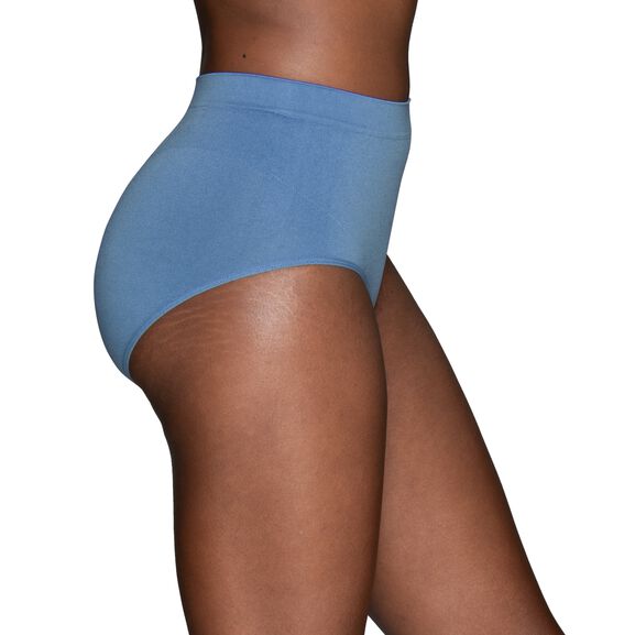 Womens Bikini Panties Seamless Underwear - 12 Multi Pack - Comfy Cotton,  Pinch Free (Large) 