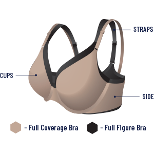 What is the difference between Full Coverage and Full Figure bras